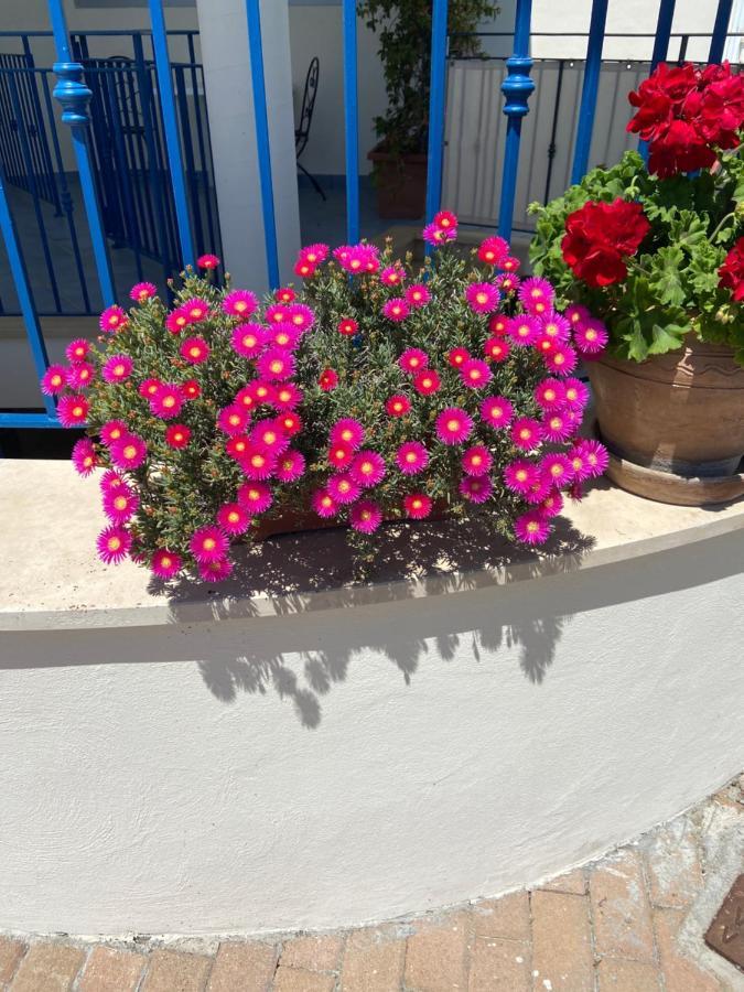 Residenza Le Spiagge Daire Sperlonga Dış mekan fotoğraf