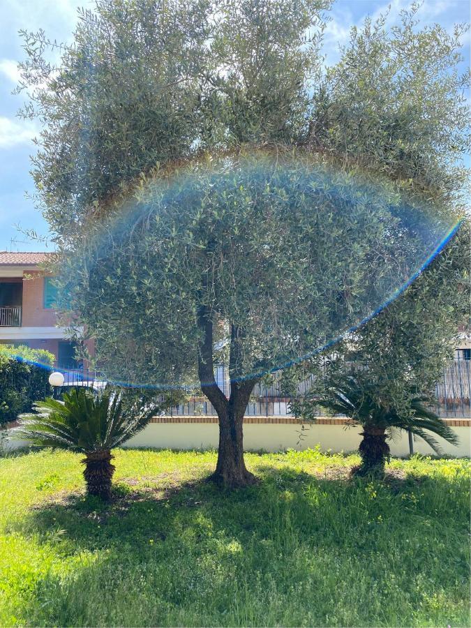 Residenza Le Spiagge Daire Sperlonga Dış mekan fotoğraf